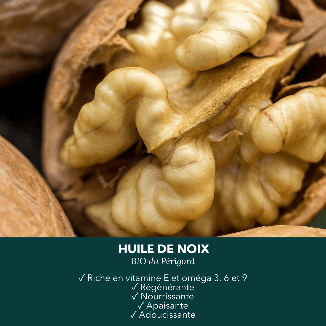 Huile de noix BIO du Périgord - Là cosmétique d'ici