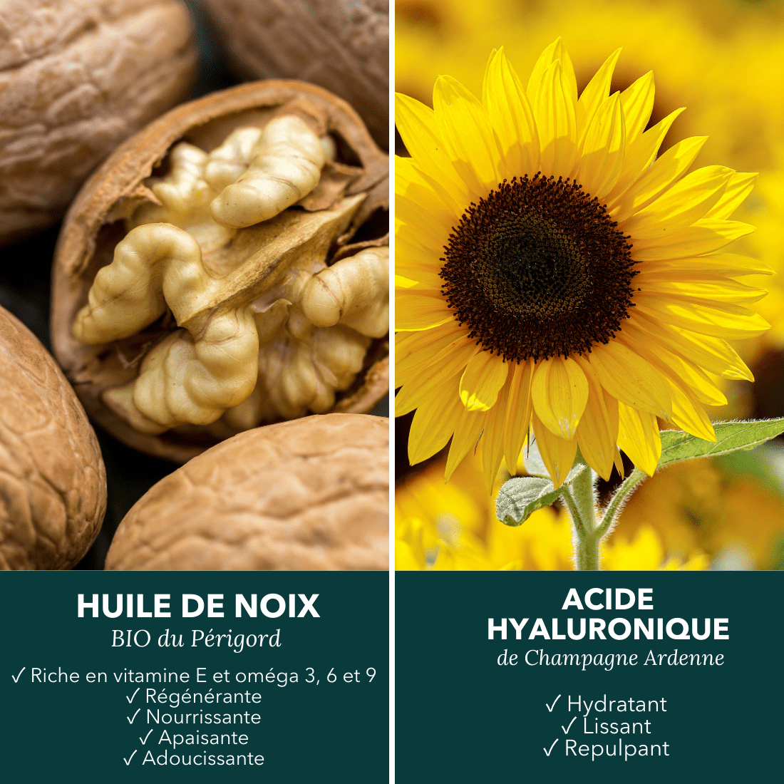 Savon surgras à l'huile de noix édition Noël - Là cosmétique d'ici