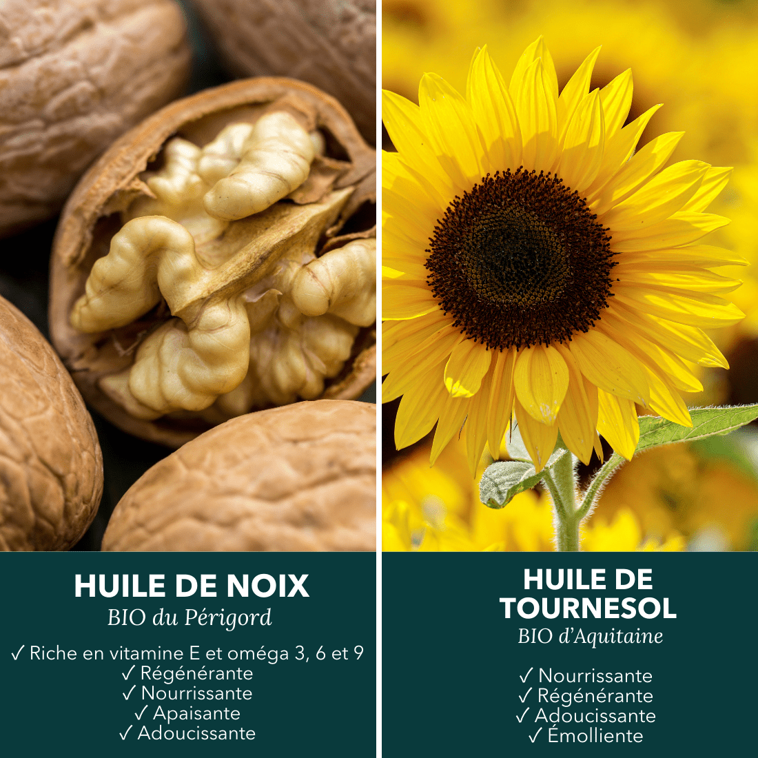 Savon surgras à l'huile de noix - Là cosmétique d'ici